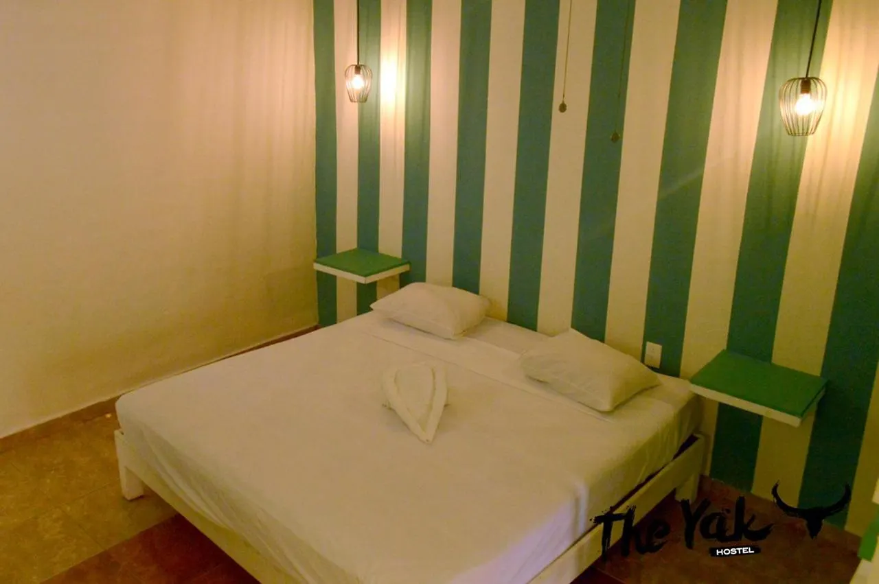 The Yak Hostel 普拉亚卡门