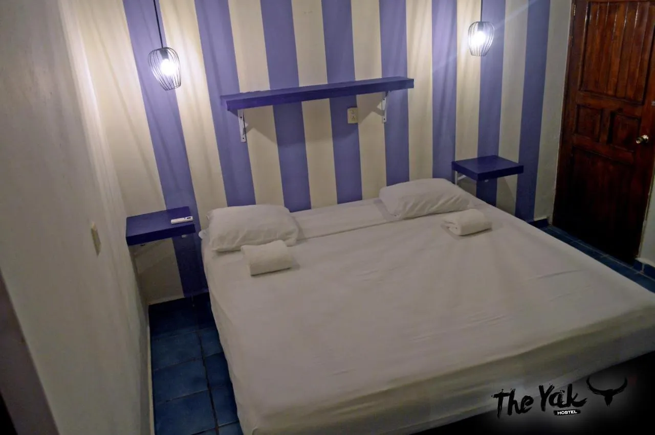 The Yak Hostel 普拉亚卡门
