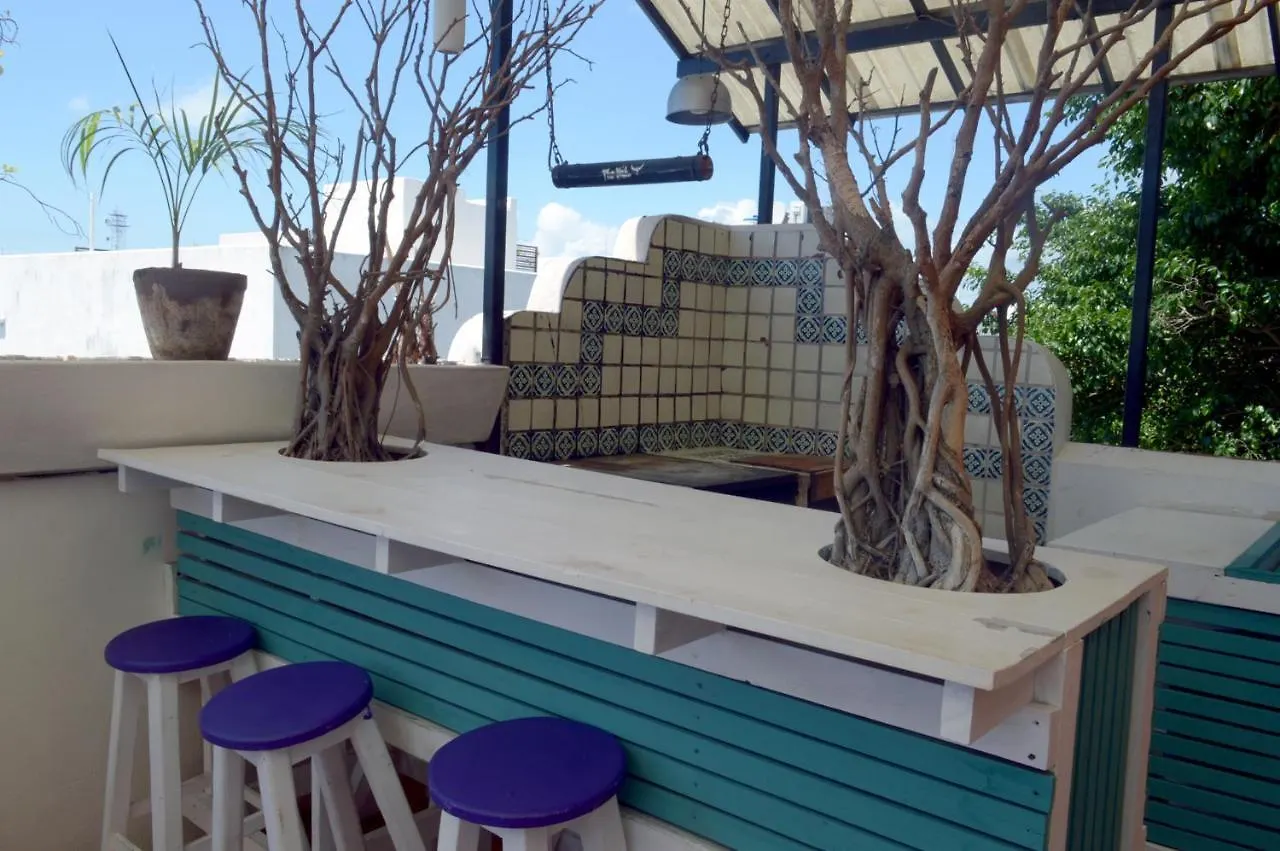 The Yak Hostel 普拉亚卡门