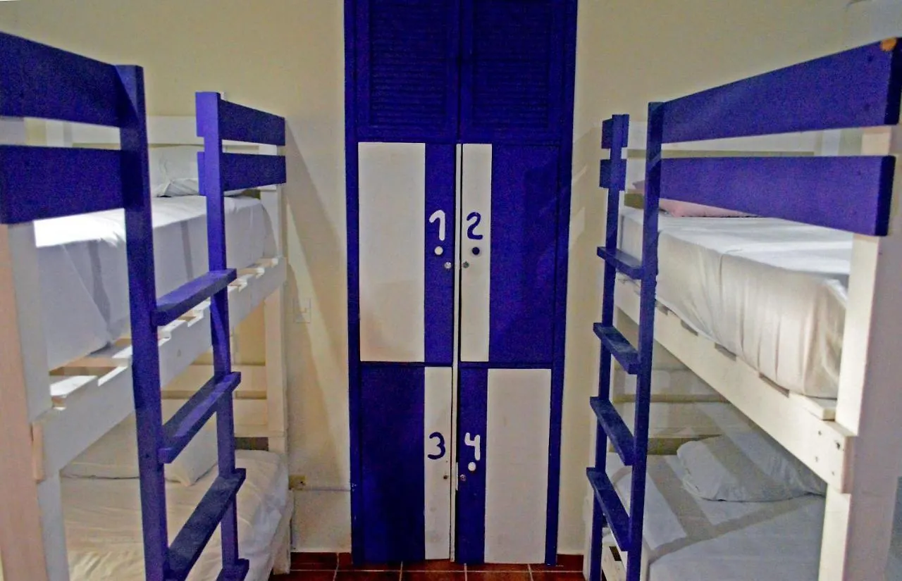 The Yak Hostel 普拉亚卡门 墨西哥