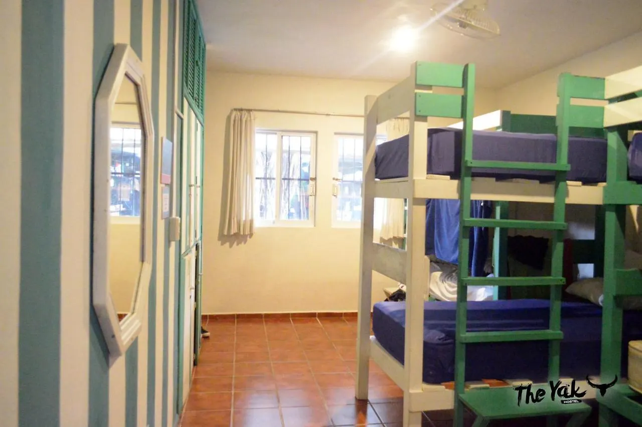 The Yak Hostel Playa del Carmen Mexico